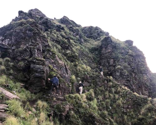 path on annapurna trek