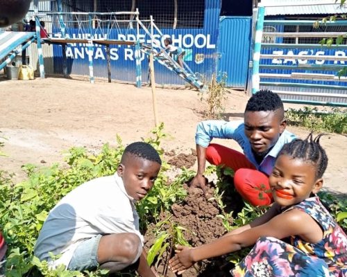 planting trees in kenya