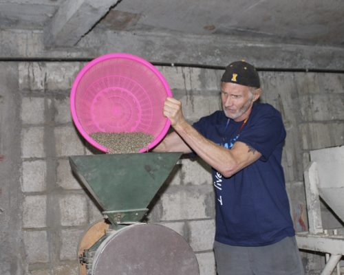 putting beans through machine