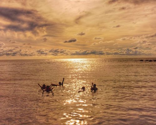 swimming at sunset