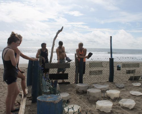 turtle site at centre