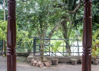 view from the back entrance (Kandy)