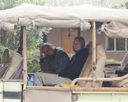 vollies in safari jeep