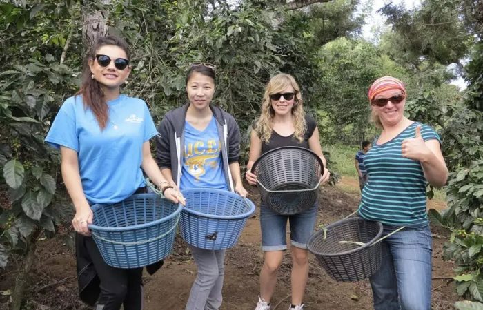 volunteers-on-coffee-farm-min-1 (1)