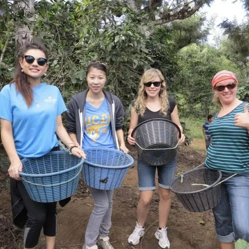 volunteers-on-coffee-farm-min-1