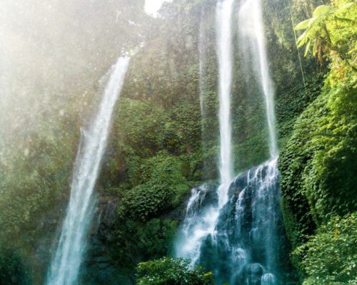 waterfall surrounded by green trees-2