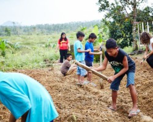 working in the garden